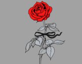 Dibujo Una rosa pintado por polillaty