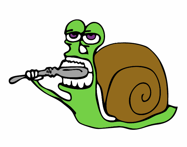 Caracol limpio