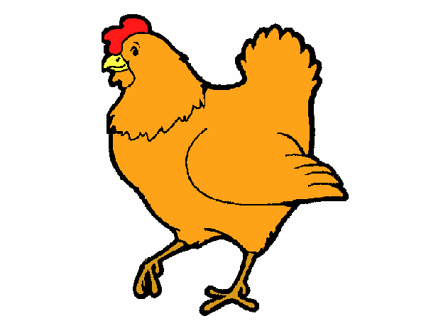 Gallina