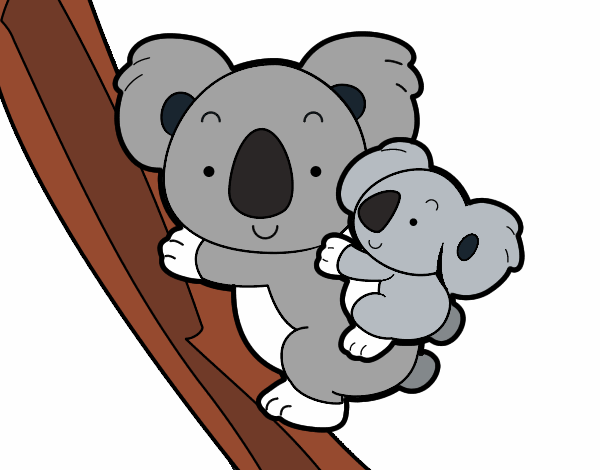 Madre koala