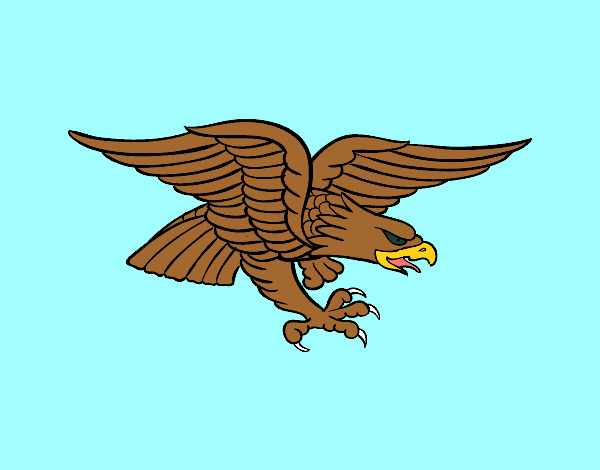 aguila