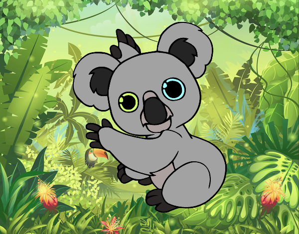 Un Koala