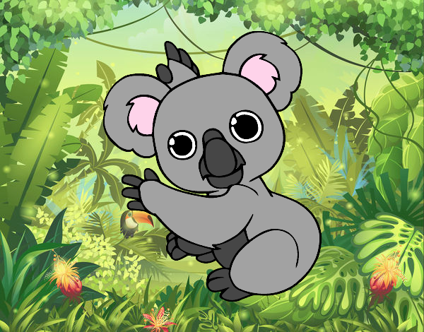 Un Koala