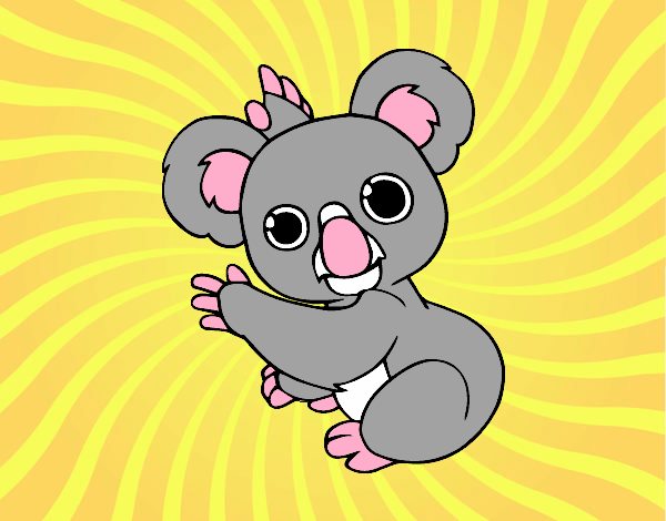 Un Koala