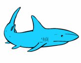Dibujo Un tiburón nadando pintado por tini1122