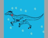 Velociraptor