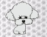 Dibujo Cachorro de poodle pintado por lauracv