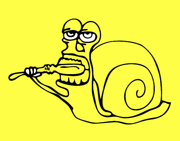 Caracol limpio