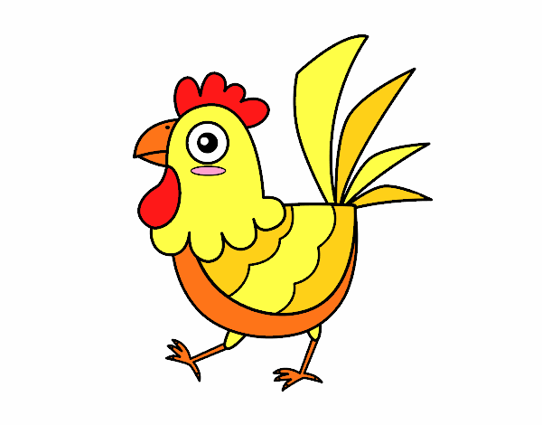 Gallina de granja