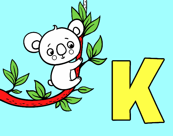 K de Koala