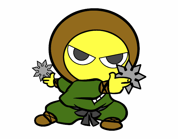 ninja niño