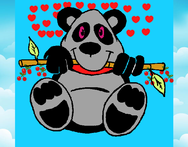 Oso panda