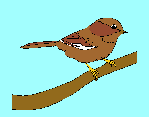 Dibujo Pájarito 1 pintado por  azla