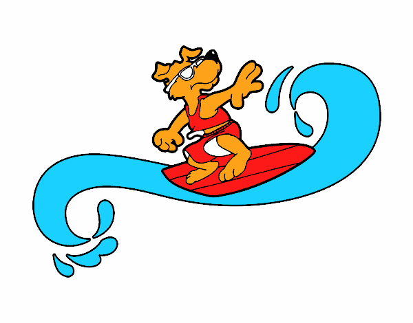 Perro surfeando