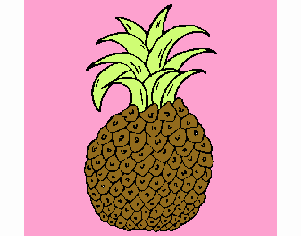 piña bonita