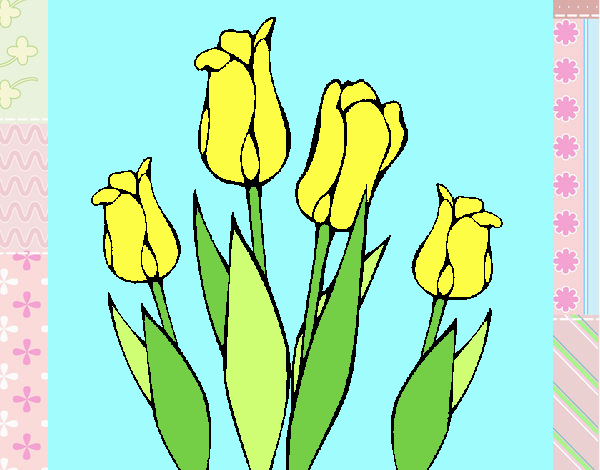 Tulipanes