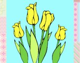 Tulipanes