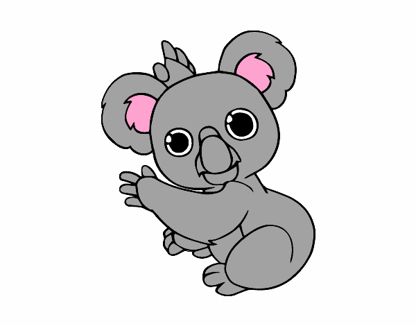 Dibujo de Un Koala pintado por en  el día 04-01-16 a las  21:53:45. Imprime, pinta o colorea tus propios dibujos!