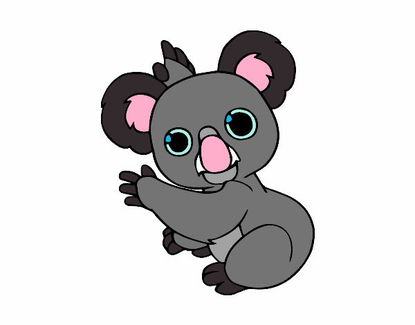 Un Koala