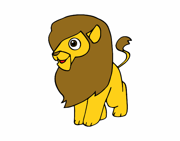 lion 