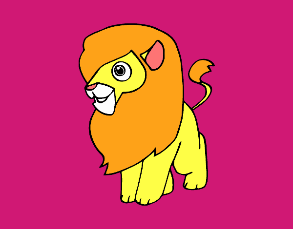 Un león