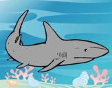 Dibujo Un tiburón nadando pintado por Lucia626