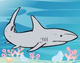 Dibujo Un tiburón nadando pintado por LunaLunita
