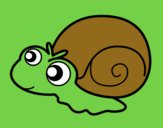 Caracol bebé