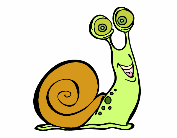 Caracol feliz