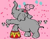 Elefante