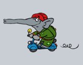 Elefante en moto