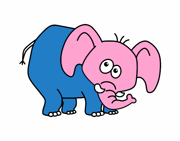 elefant