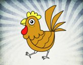 Gallina de granja