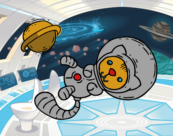 Gatito astronauta