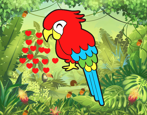 Guacamayo