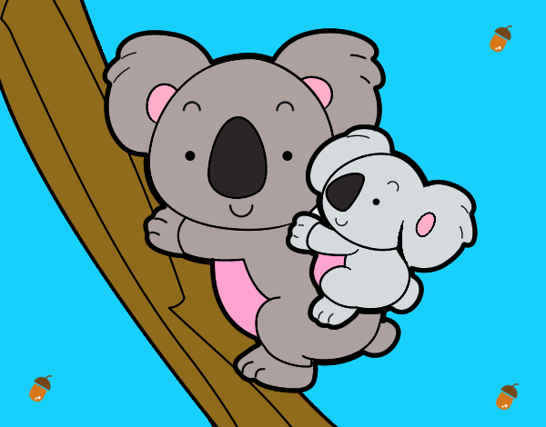 mama  koala  y  bebe  koala