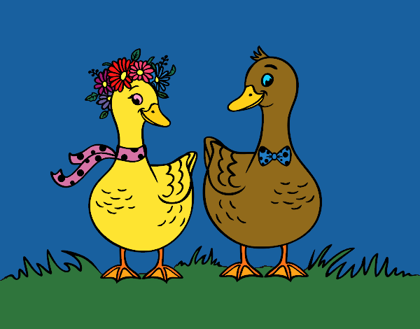 Pareja de patos