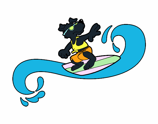 Perro surfeando