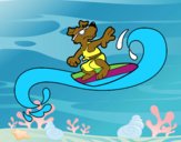 Perro surfeando