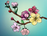 Dibujo Rama de cerezo pintado por laubl