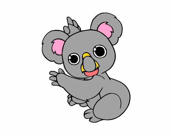 Un Koala