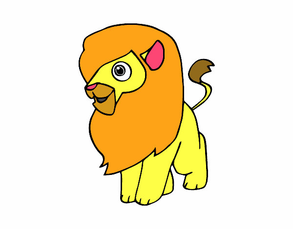 Un león