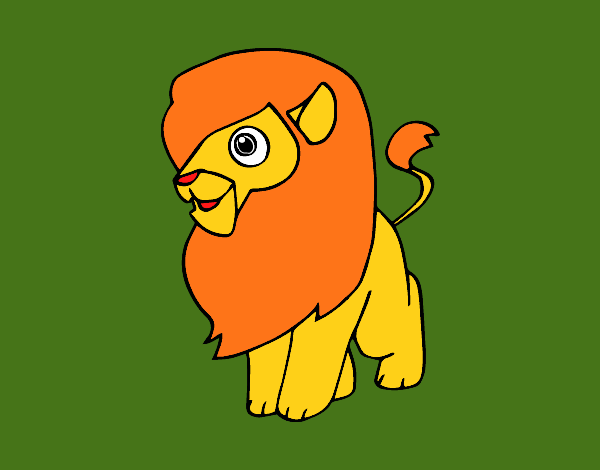 Un león