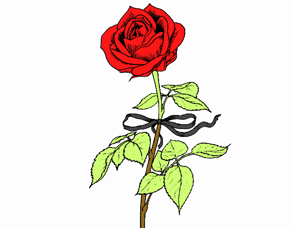 una rosa