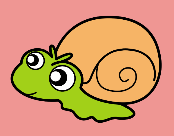 Caracol bebé