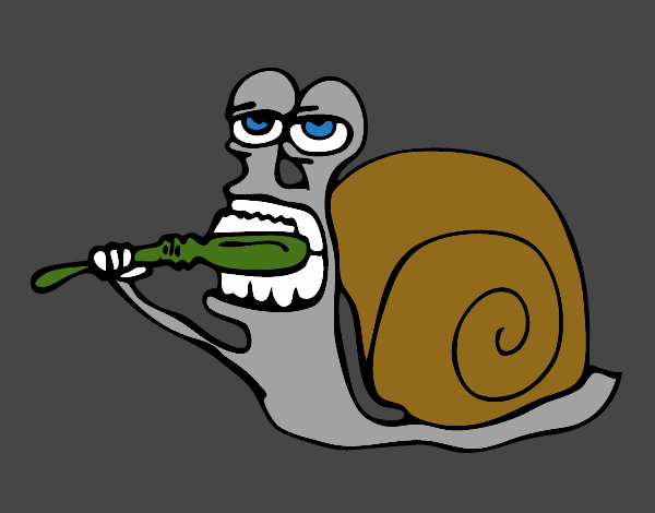 Caracol limpio