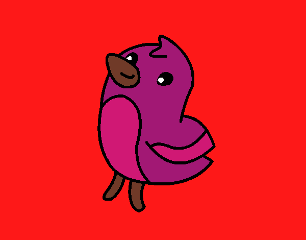 pajaro morado