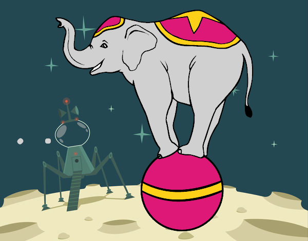 Elefante equilibrista