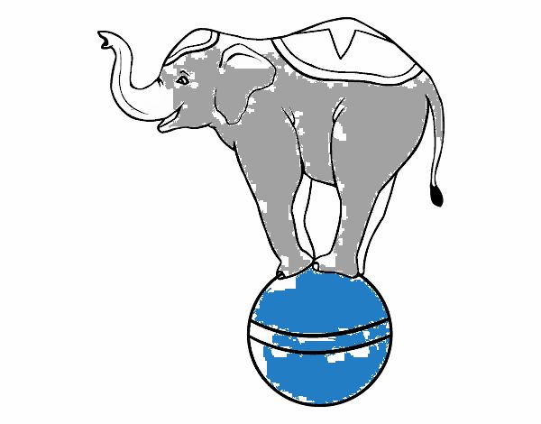 Elefante equilibrista