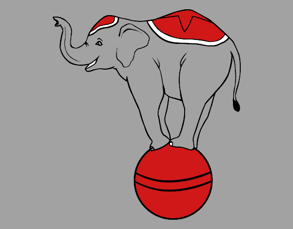 Elefante equilibrista